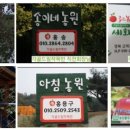 각골 이미지