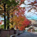 진해여자고등학교 이미지