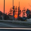 멍쿠실낭 이미지