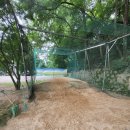 유성골프클럽 이미지