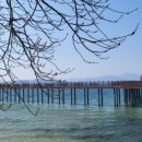 해물&빼떼기 이미지