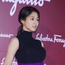 19호 이미지