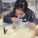 리프패럿 이미지