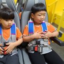 전주팔복초등학교 이미지