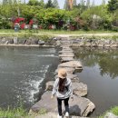 머내생태공원 이미지