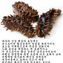 완도활어 - 목포시 연산백련로1번길 111 | 완도활어