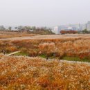 부여하늘농장 이미지