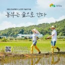 산촌농부