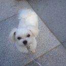 성수1가1동 주민센터 이미지