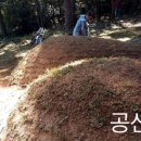 수성장묘개발
