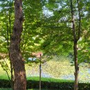 눈썹정원사 | 158권째 독서후기 파트릭 모디아노/어두운 상점들의 거리