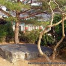 남국선원 - 1006 | 남국선원