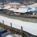 매화시장 이미지