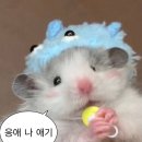잘나가바이크;심쿵한복 | 25년 11월-12월 정리