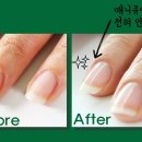 네일바름 이미지