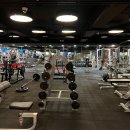 자마이카휘트니스 이미지