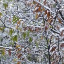 금학동주민센터 화장실 이미지