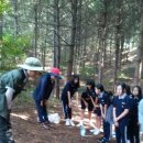 남춘천여자중학교 이미지