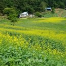 추정1리 이미지