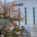 (유)신촌 | 이마 미간 뉴럭스보톡스 국산보톡스 신촌유앤아이에서 맞은 후기