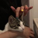 다은 민박 이미지