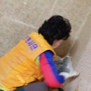 시흥대로 이미지