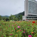 청심 - 여주시 여흥로69번길 26-10 | 청심