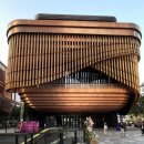 천과나무 이미지