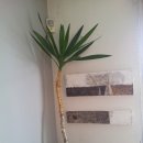 부엌예찬 이미지