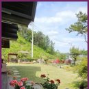 아르보르펜션 이미지