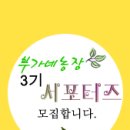 모실농장 네이버블로그