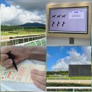 렛츠런파크 제주 | 제주도 경마공원 이색 데이트 렛츠런파크 제주