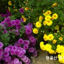 습관도 습관이다 이미지