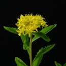 기린초등학교 이미지