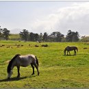 비렁길굴등민박 이미지
