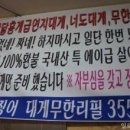 날으는산오징어 이미지