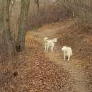 자룡농장 이미지