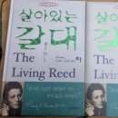 성주로214번길 이미지