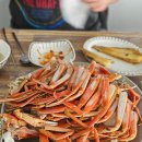 감포맛집철없는대게 | [감포 대게 맛집] 한반도회대게직판장 내돈내산 후기 경주 감포 데이트 추천 🦀💛