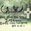 [성 야고보 사도 축일] 삶의 자리에서 예수님을 보여주세요 / 반영억 신부님 이미지