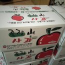 죽장 사과 10kg 이미지