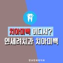 연세치과려 네이버블로그