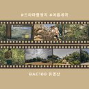 가평뒷동산길 | [100대명산 유명산]최단코스 완벽정리: 필름에 담은 유명산 1코스- 드라마 <시크릿 가든> 속 그 신비...