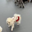 리앤드딩 이미지