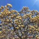 이동원한의원 이미지