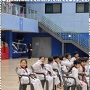 무한태권도장 이미지