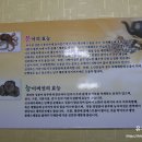 싸리재토종닭 이미지