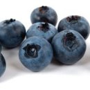 이종범농장 이미지