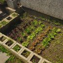 오션민박 이미지