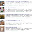 늘품개발 네이버블로그